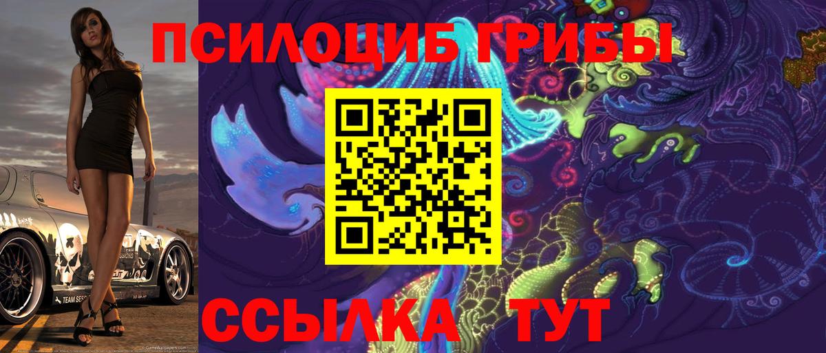 Псилоцибиновые грибы MAGIC MUSHROOMS Астрахань
