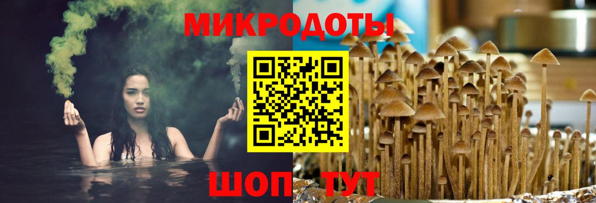 Астрахань  Псилоцибиновые грибы Psilocybine cubensis  Вход с VPN 